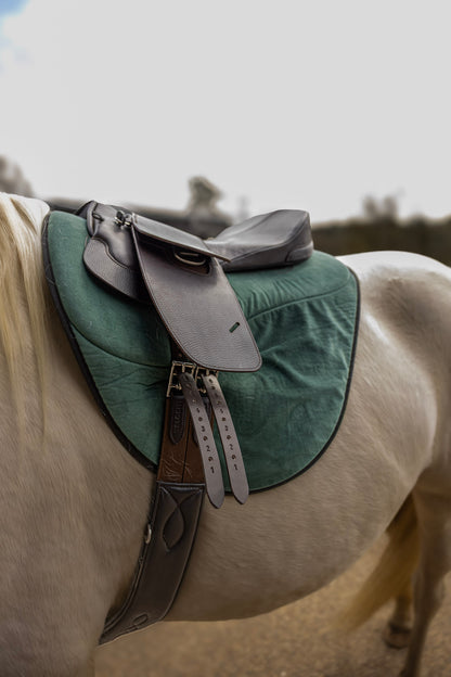 Premium Saddle Seat