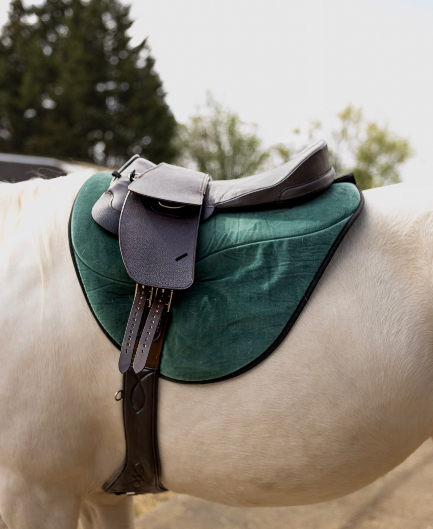 Ex-Trial Total Contact Seats and Saddle Seat Pads