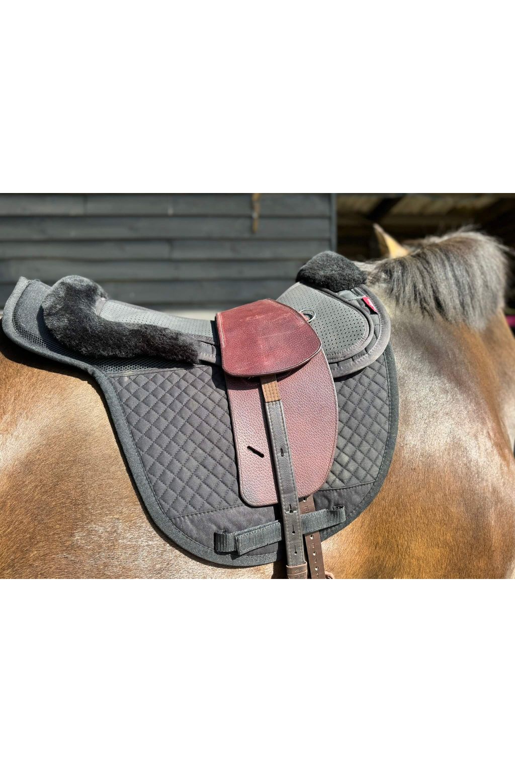 A premium nutmeg total contact treeless saddle on a dark bay horse wearing a black saddle pad and a black half pad