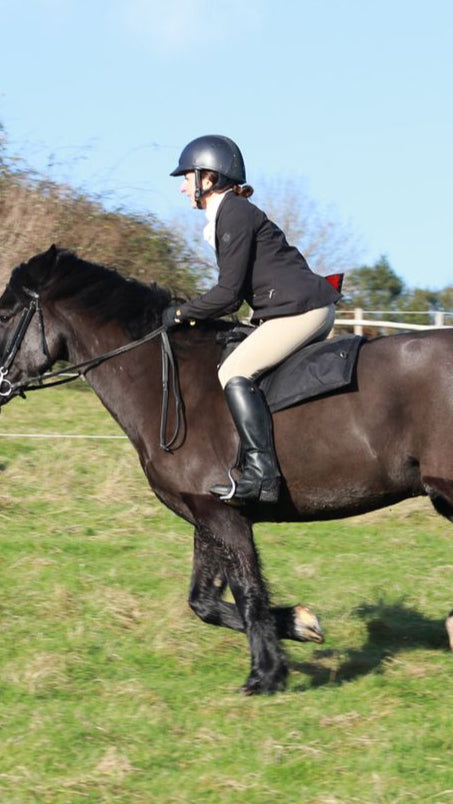 how much is a mustang horse